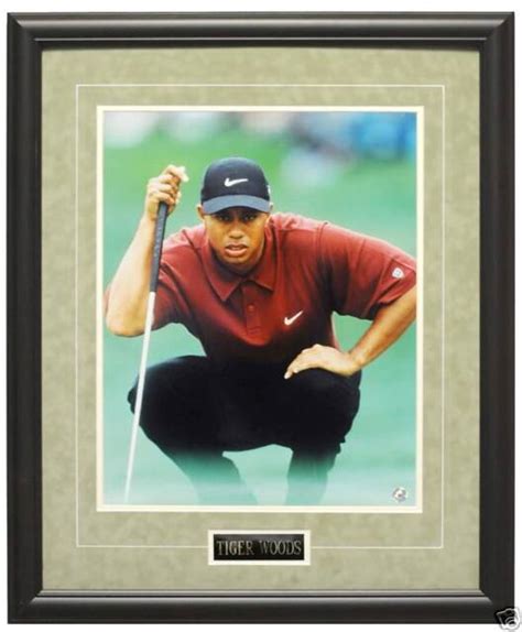 Tiger Woods Original Photo Framed Deluxe Ebay