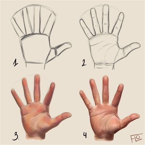 Drawing A Hand Step By Step Made In Photoshop Using A Wacom Drawing