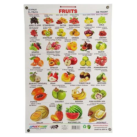 Buy Spectrum Pre School Kids Learning Laminated Educational Fruits