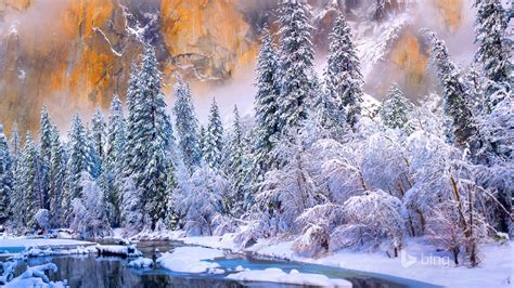 Winter Forest River 2015 Bing Theme Wallpaper Preview