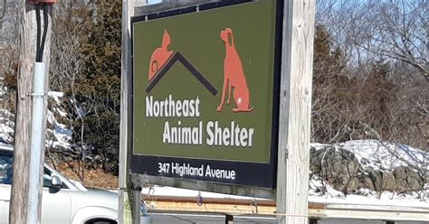 The On Line Buzzletter Robs Great Day At Northeast Animal Shelter In