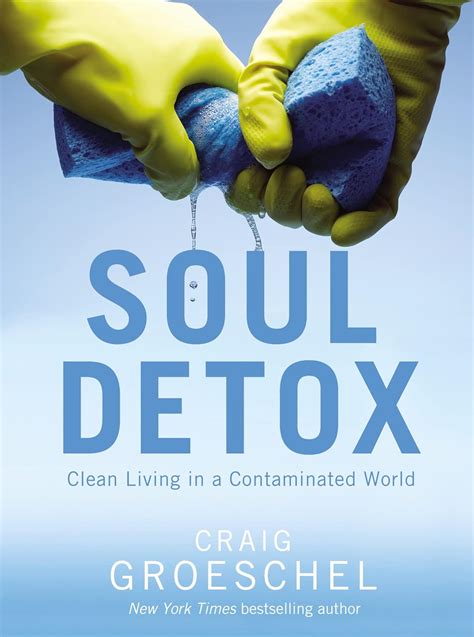 Soul Detox Clean Living In A Contaminated World Groeschel Craig