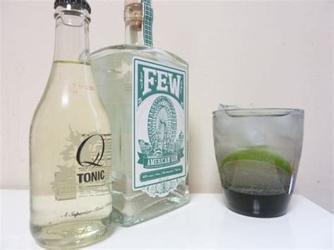 Few American Gin Review And Rating The Gin Is In