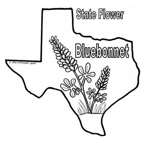 Bluebonnet Coloring Page