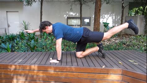 3 Exercises To Prevent Low Back Pain Mona Vale Chiropractic