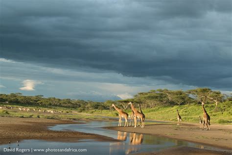 Tanzania | Photos and Africa