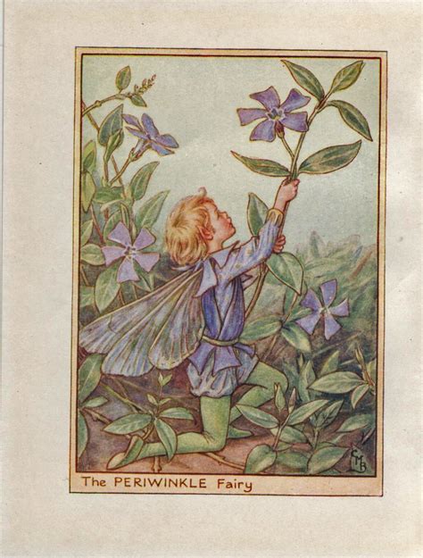 Flower Fairies The Periwinkle Fairy Vintage Print C1930 By Etsy