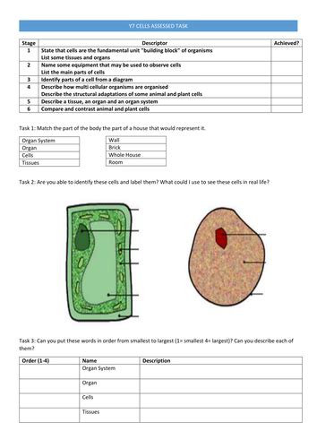 Y7 Cells Assessed Task New Ks3 Teaching Resources