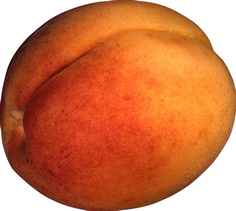 Peach Png Image Purepng Free Transparent Cc0 Png Image Library