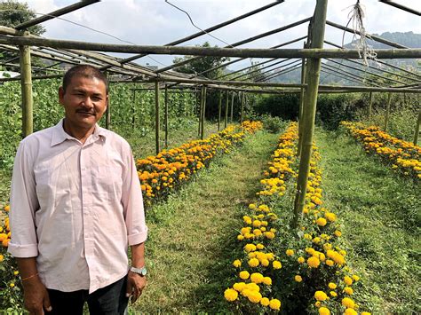 Migrant Worker Finds Farming In Nepal More Rewarding Nepali Times