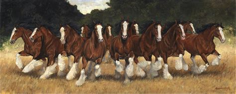 12 Clydesdales Running Painting By Don Langeneckert Pixels