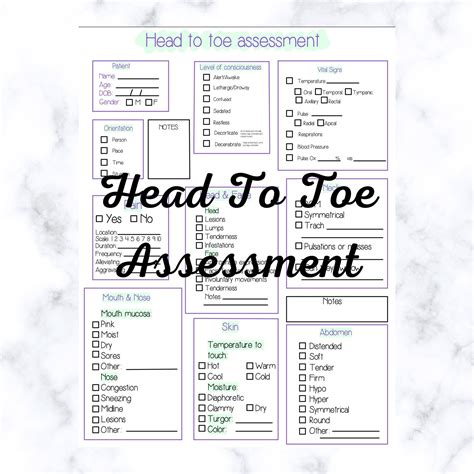 Head To Toe Assessment Template Nursing School New Nurse Etsy Nurse