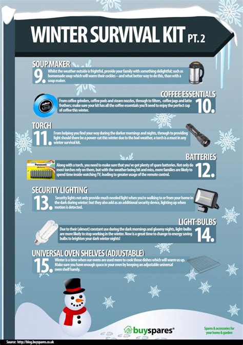 Winter Survival Kit Part 2 Infographic Everything Homes