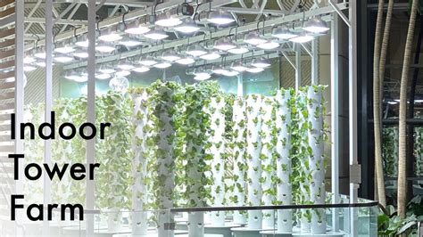 Indoor Aeroponic Tower Farm With Urban Smart Farms Your Gardening Forum