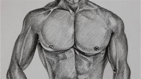 Muscular Chest Drawing Youtube