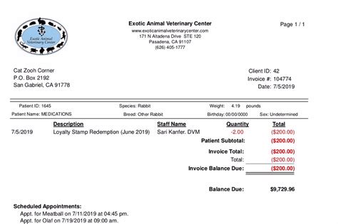 Vet Invoice Form Fill Out And Sign Printable Pdf Template Signnow