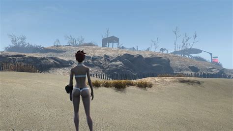Nice Body Preset For Lacy Underwear At Fallout 4 Nexus Mods And Community