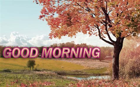 Lovely Good Morning Images Hd 1080p Download Good Morning