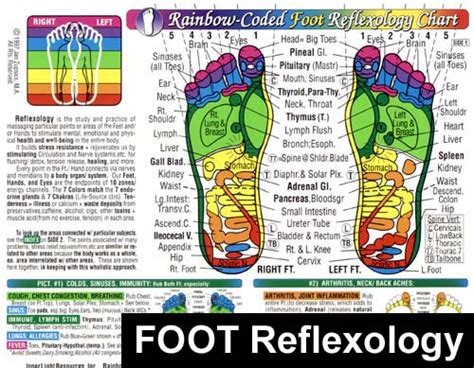 Foot Reflexology Massage Chart Awareness Guides Charts