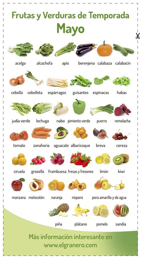 Lista De Verduras Y Hortalizas Hiro