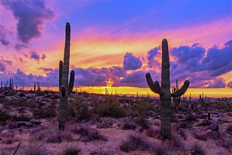 Desert Sunset Landscape In North Scottsdale Az Photograph By Ray