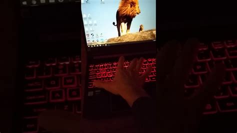 Acer Nitro 5 Backlit Keyboard Settings Onoff 30 Seconds And Brightness