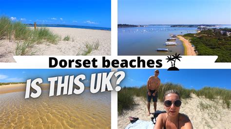 Dorset Beaches Knoll Beach And Studland Beach Shell Bay Dorset