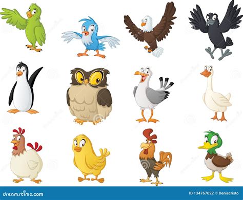 Group Of Cartoon Birds Vector Illustration Of Funny Happy Animals