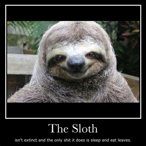 The Sloth Awesome Meme By Coolmister Memedroid