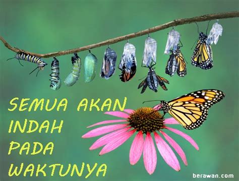 Semua Akan Indah Pada Waktunya - ಌ Berawan.com ಌ