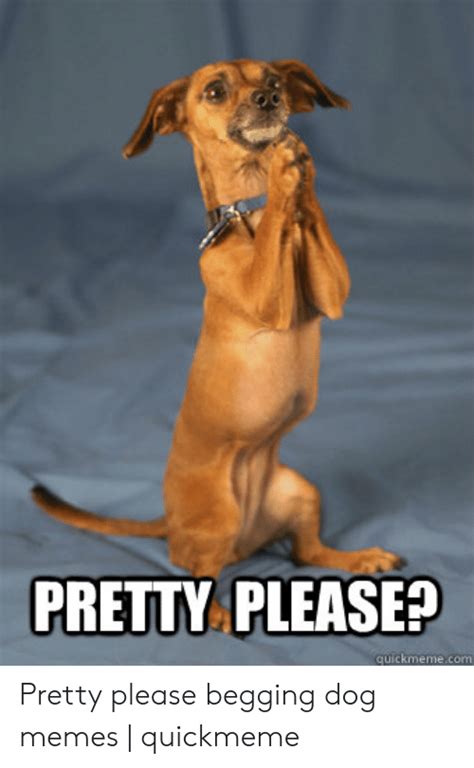 Maybe you would like to learn more about one of these? PRETTY PLEASE? Quickmemecom Pretty Please Begging Dog ...