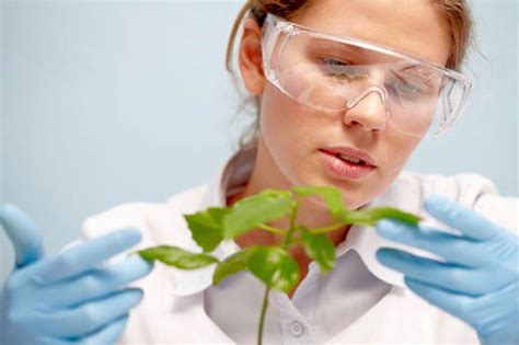 Image Result For Plant Scientist Biologist Job Search Science Lover
