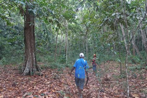 Kebijakan Dan Aturan Wisata Alam Pada Hutan Lindung Tempat Wisata