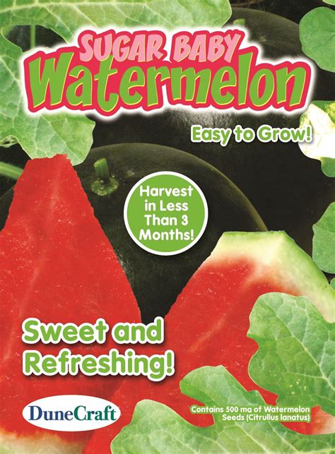 Sugar Baby Watermelon Seed Pack Grow Edible Watermelons
