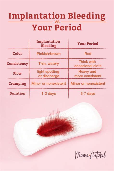 How Long After Sex Does Implantation Bleeding Occur