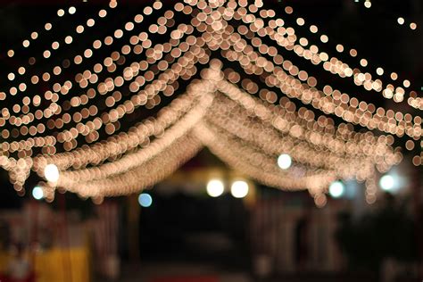We did not find results for: Wedding lights | Flickr - Photo Sharing!