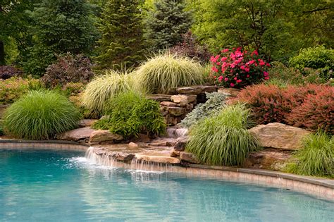 In addition to the surrounding landscape, a pond opens up the opportunity to explore plants that are suitable for a. Waterfalls - Cording Landscape Design