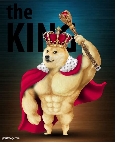 Buff Doge Coin Buffdogecoin Twitter