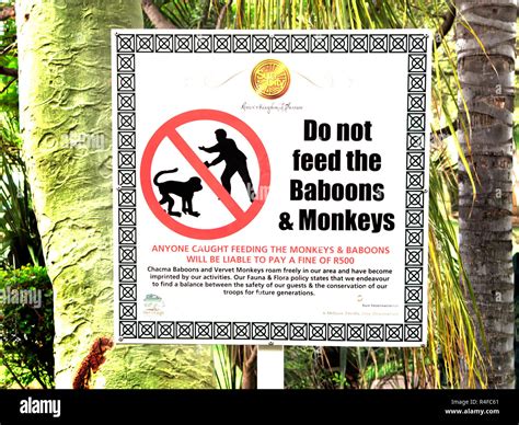 Do Not Feed The Baboons And Monkeys Sign South Africa Stock Photo Alamy