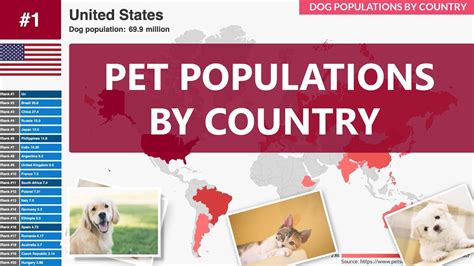Pet Populations By Country Top 20 Assembling The World Data