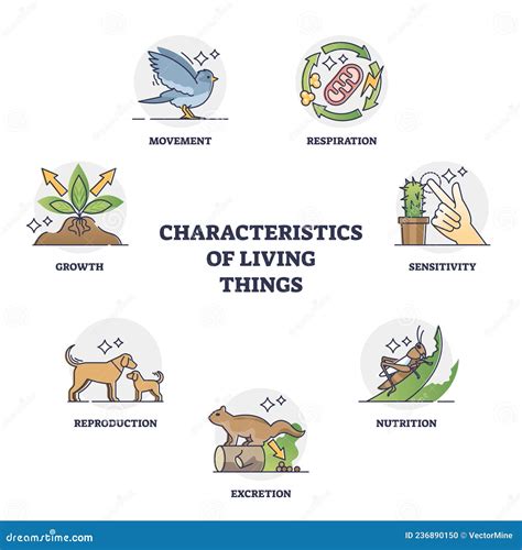 Characteristics Of Living Things And Their Recognition Groups Outline