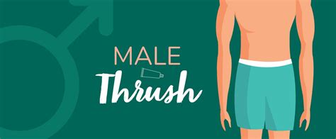 Male Thrush Everything You Need To Know Medino