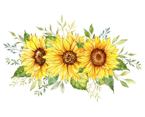 Watercolor Sunflowers Bouquet Hand Painted Sunflower Bouquet Sunfower