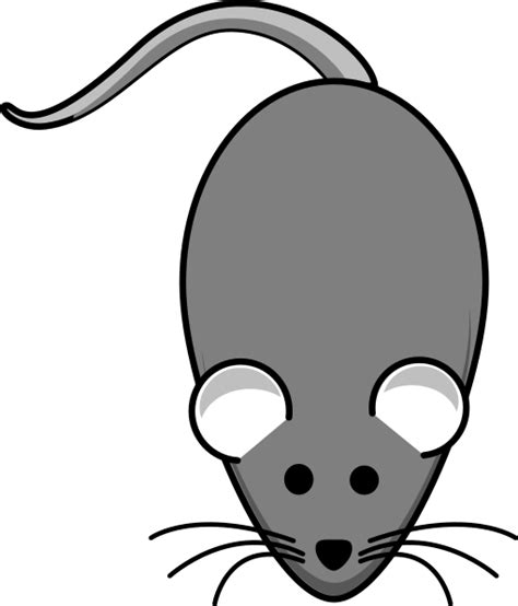 Rat Grey Darker Clip Art At Vector Clip Art Online Royalty