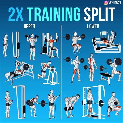 8 Powerful Muscle Building Gym Training Splits GymGuider Full