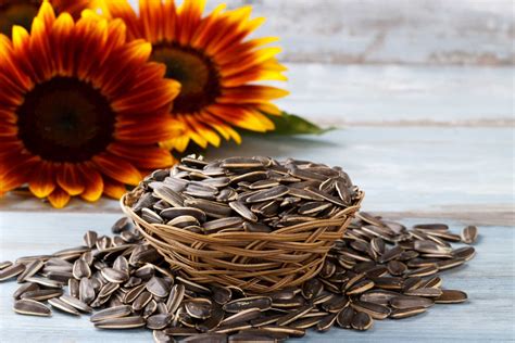 Great Benefits From Sunflower Seeds Big C