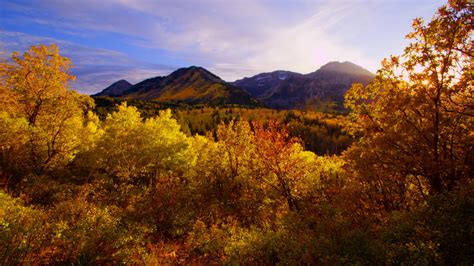 6 Scenic Drives To See Fall Colors Explore Utah Valley