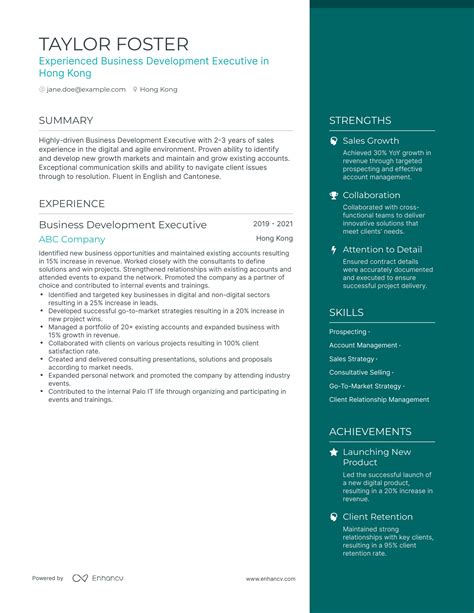 5 Business Development Executive Resume Examples And Guide For 2024