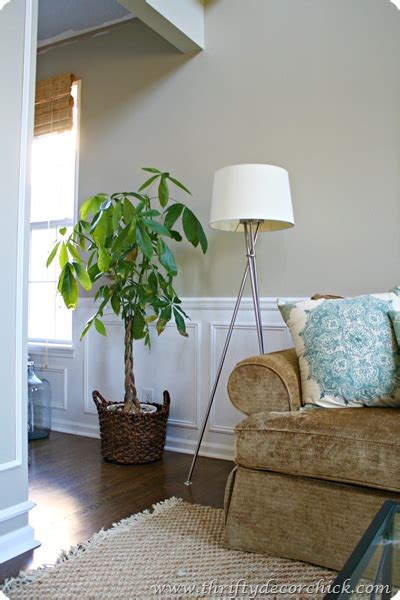 This plant naturally has thin, delicate stems. Space filler from Thrifty Decor Chick