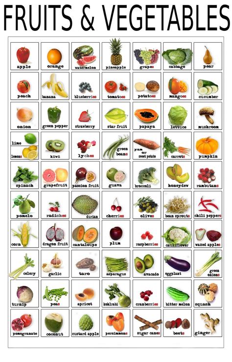 Fruits And Vegetables Infographic Chart 18x28 Inches Canvas Print